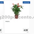 01 Promoções-Descontos-36963.jpg